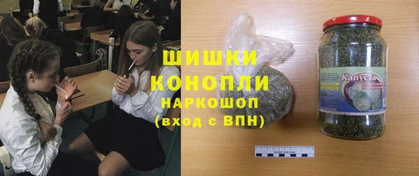 крисы Мегион
