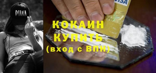 крисы Мегион