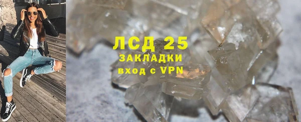 крисы Мегион