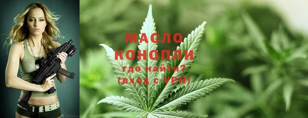 крисы Мегион