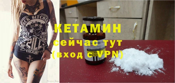 крисы Мегион
