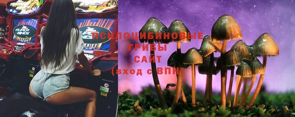 спайс Абинск