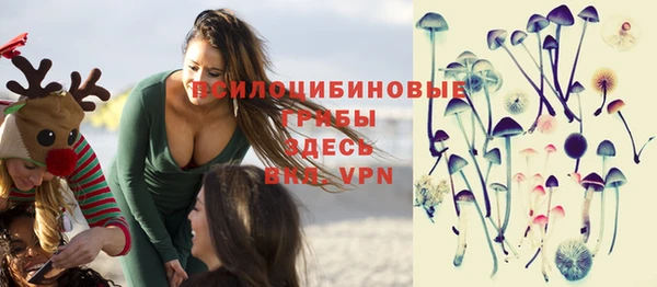 крисы Мегион