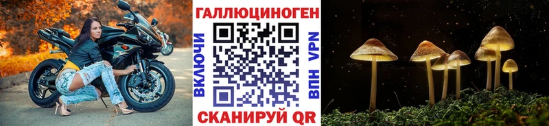 Псилоцибиновые грибы Magic Shrooms  наркошоп  Таганрог 