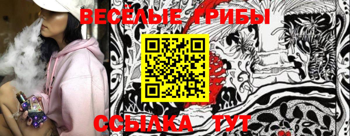 Галлюциногенные грибы Psilocybe  Галлюциногенные грибы мицелий  Таганрог  Вход с VPN 