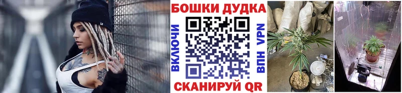 blacksprut ссылка  Таганрог  Канабис SATIVA & INDICA  где продают  